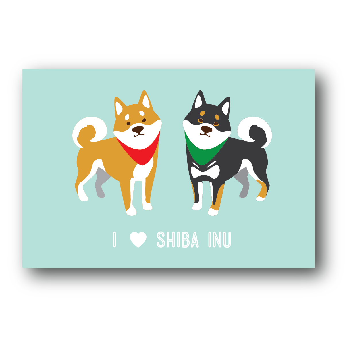 Shiba Dog Postcard