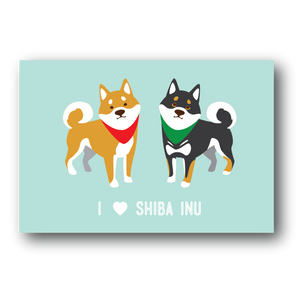 Shiba Dog Postcard